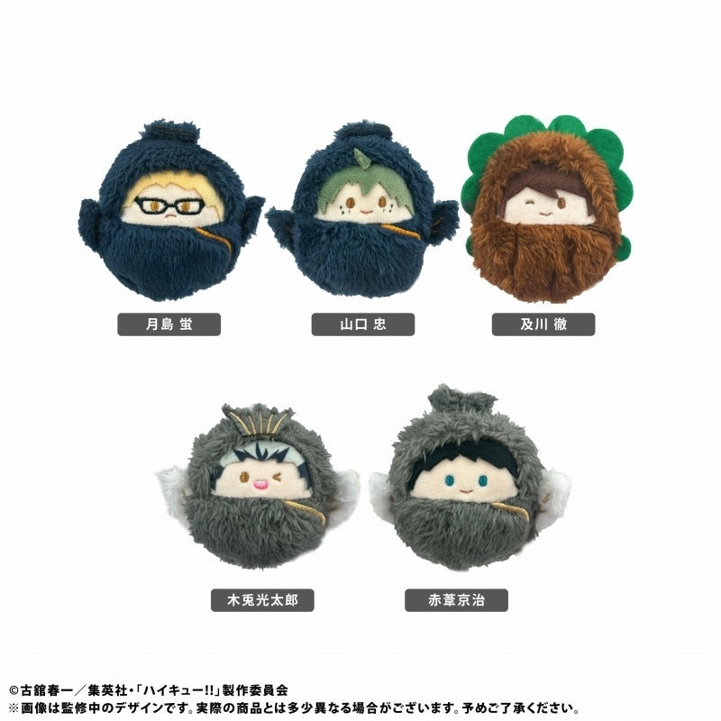 Goods - Mascot) Haikyu!! Kurumi Tapinui Vol. 2 (Blind Box -Single