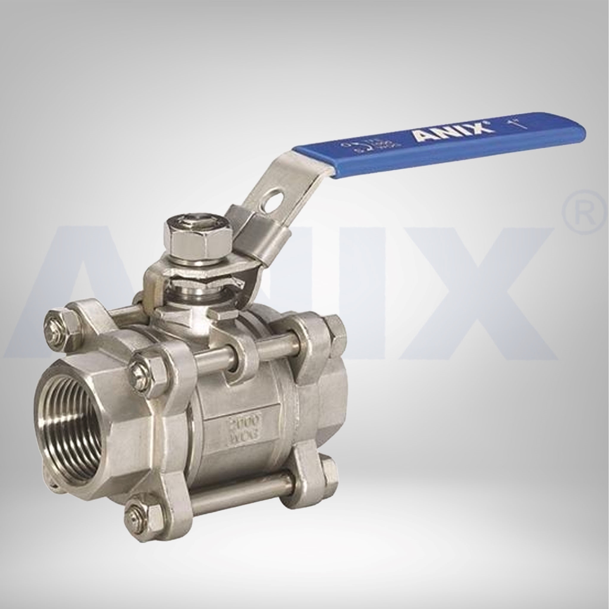 ANIX Valve USA - Stainless Steel & Carbon/Cast Steel Valve