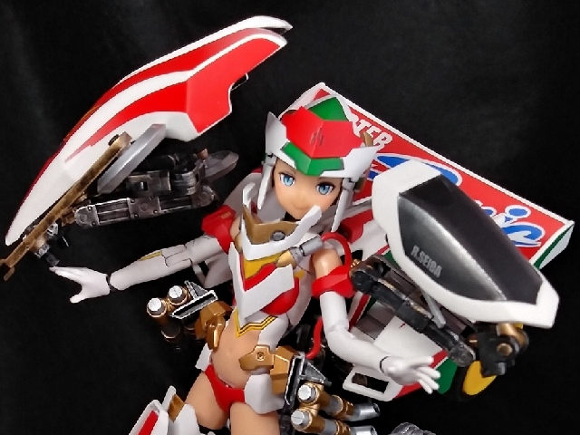 concours d'Elegance/OWNER'S PIT COOL