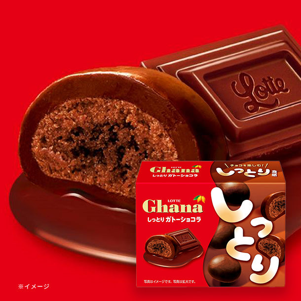 LOTTE「ガーナ しっとりガトーショコラ」42gのお得通販｜Kuradashi