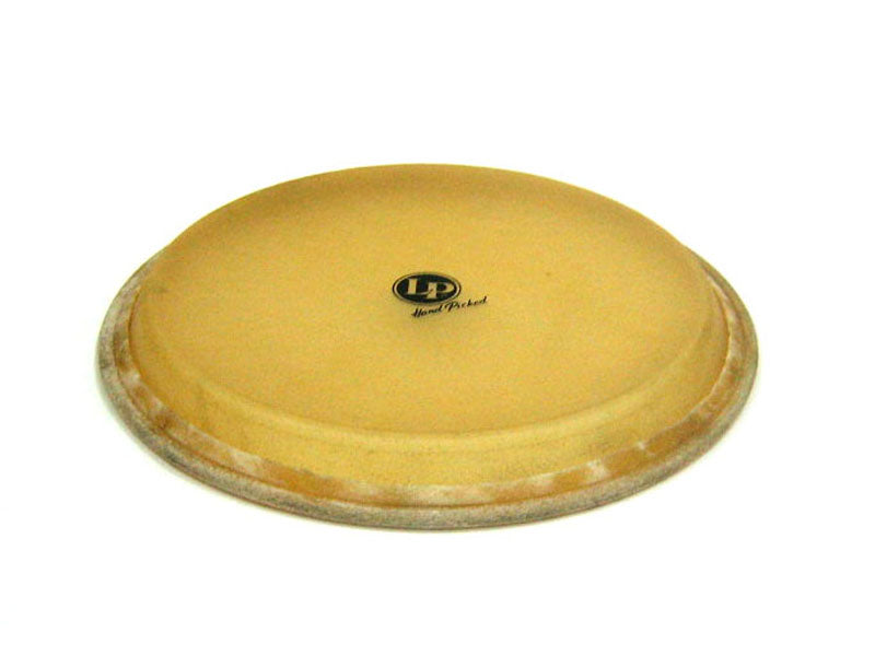 キューバ産コンガ用フラットヘッド キューバ産コンガ用フラットヘッド