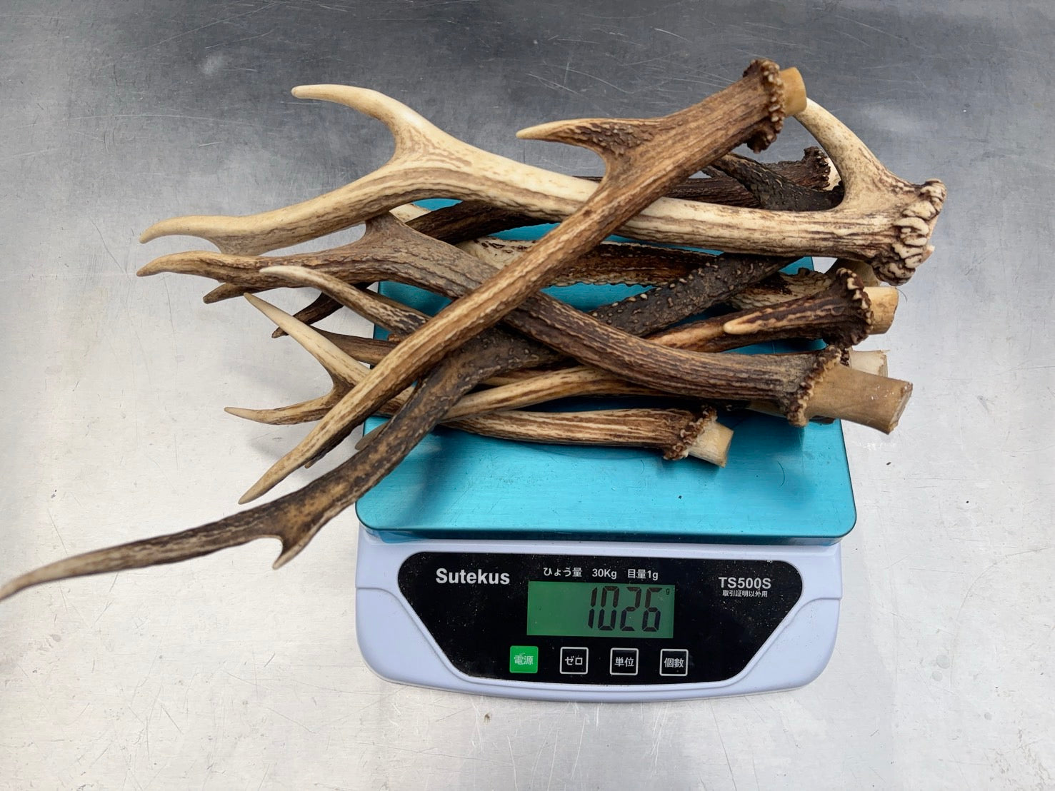 鹿角 1㎏ – VARIED ONLINE SHOP