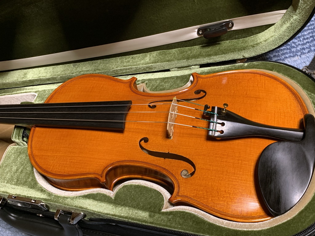 Gligaのバイオリン | 雲山の雑記帖