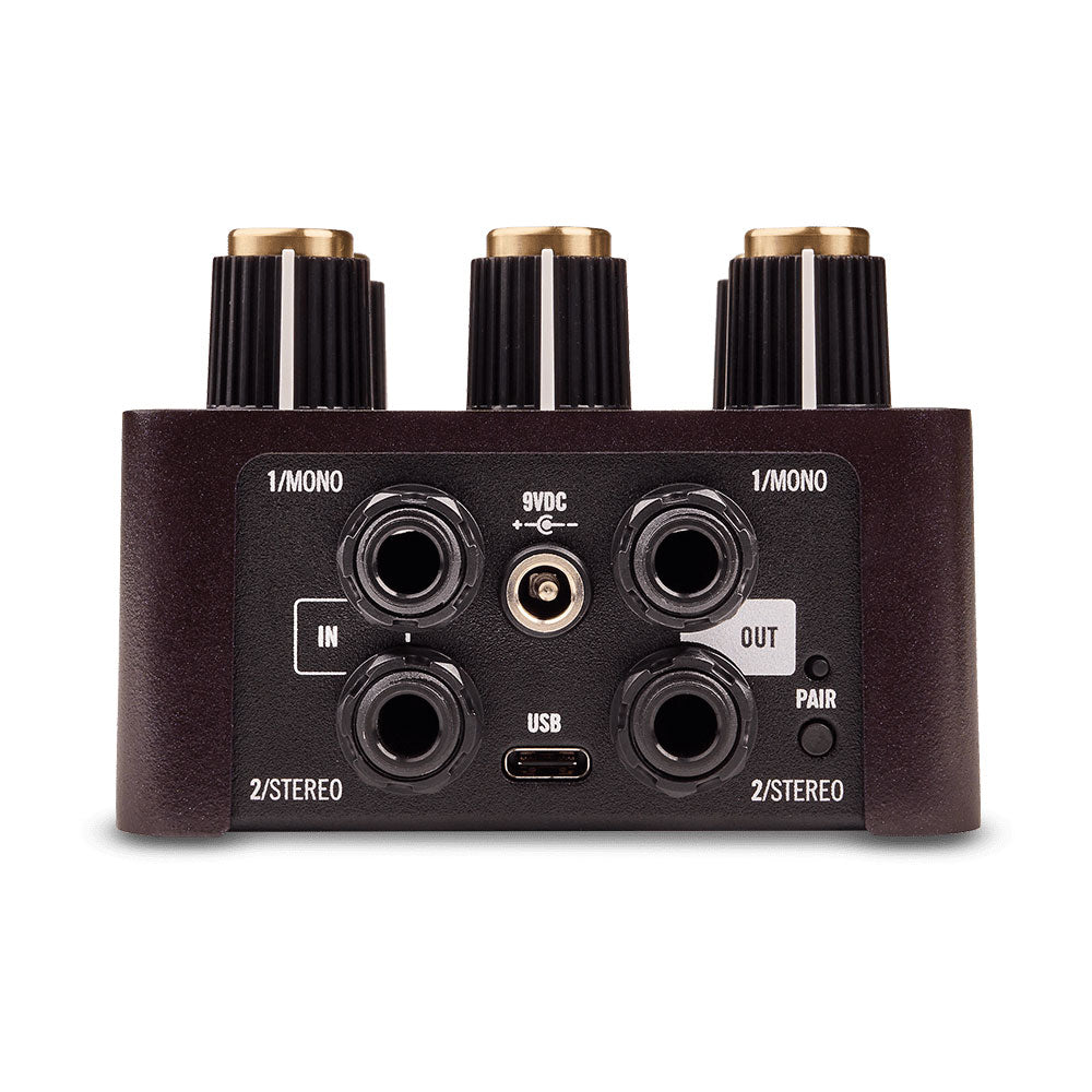 lion2_1024x1024.jpg?v=1699152399