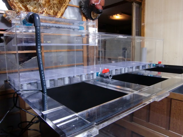 アクアショップしなの 特注品製作例