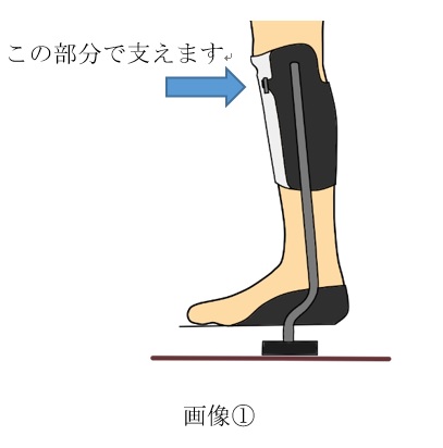 PTB(Patella Tendon weight Bearing)装具について