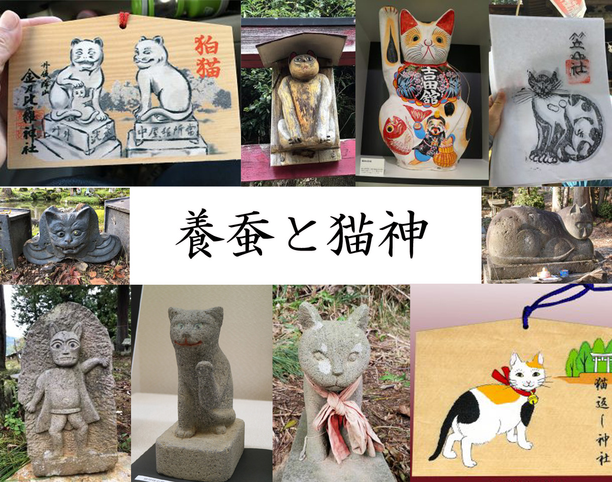 養蚕と猫神 | カイコローグ