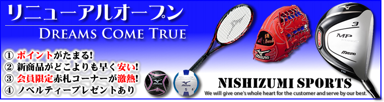 ミズノ キャリングティーネット ティー専用 MIZUNO NETS ネット