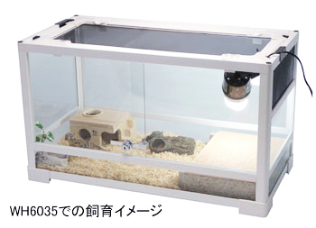 パンテオン ブラック BK4535 ｜ 株式会社三晃商会