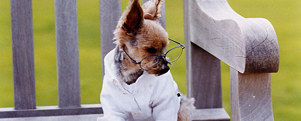 GG MADE IN TOKYO.』『GG+KIITI』『GG DENIM LINE』『Chocolat de