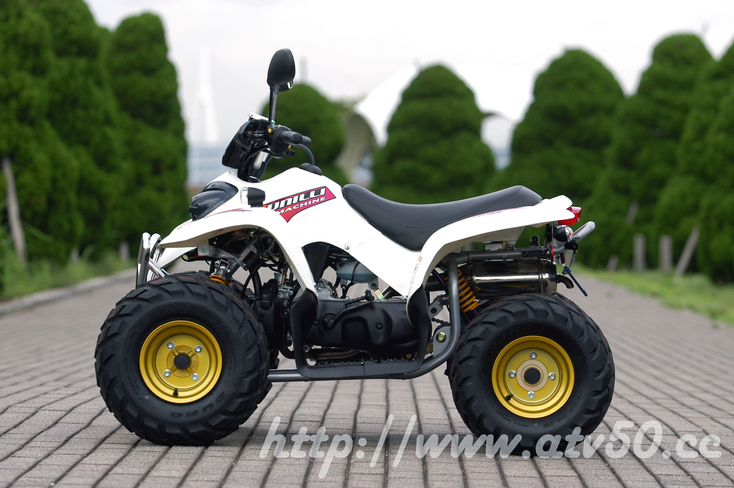 UNILLI ATV50：LTD spec /////マキシマジャパン
