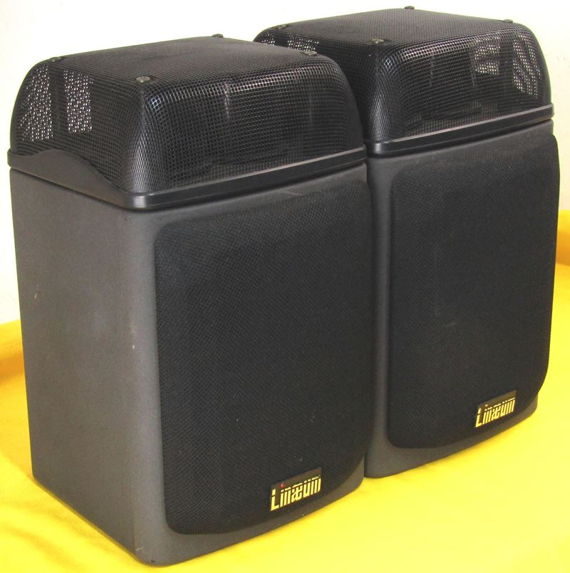 リニアム Linaeum A-1 スピーカー