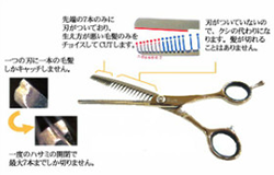 Resetter│BEAUTY SHOP VIVIAN