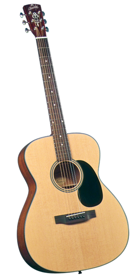 ブルーリッジ・ギター【日本総代理店】 Blueridge JAPAN