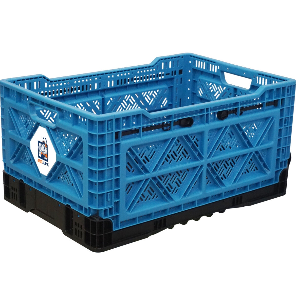 BIG ANT折りたたみコンテナ59L | Costco Japan