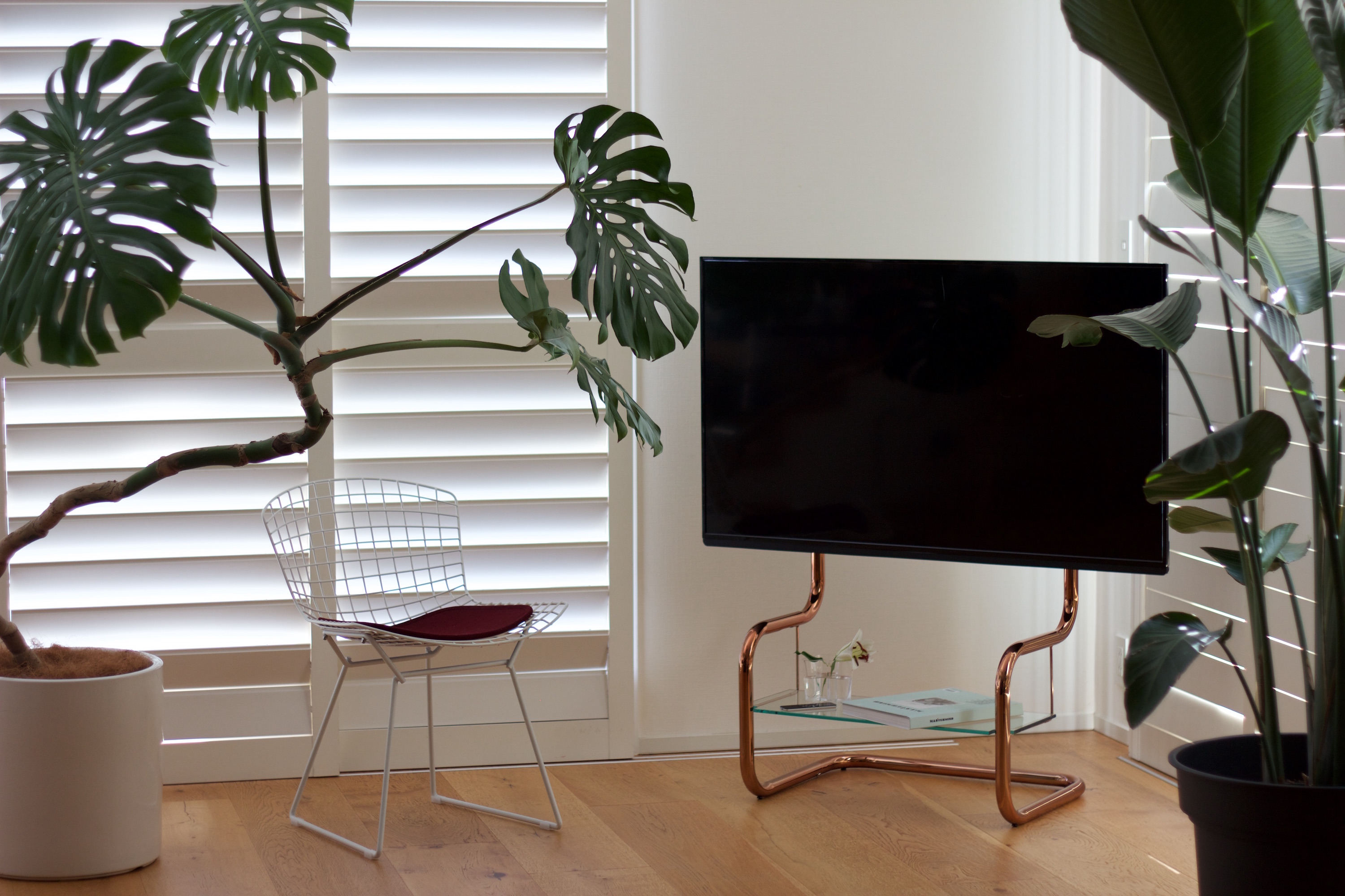 FSM Copper - zeitgeist