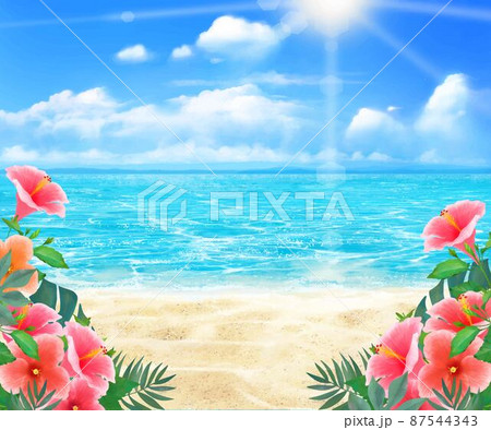 浜辺 海 海岸 お花のイラスト素材 - PIXTA
