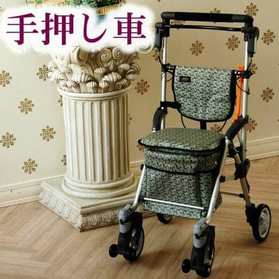 シルバーカー キャリースルーンボックスN | TCマート（シニア