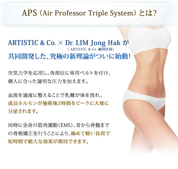 AIR PROFESSOR TRIPLE SYSTEM エアープロフェッサートリプルシステム