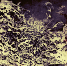 廃盤】 凹凸凹 - BOKODEKOBOKO 志人×ontoda 降神 志人×ON TODA 最新作