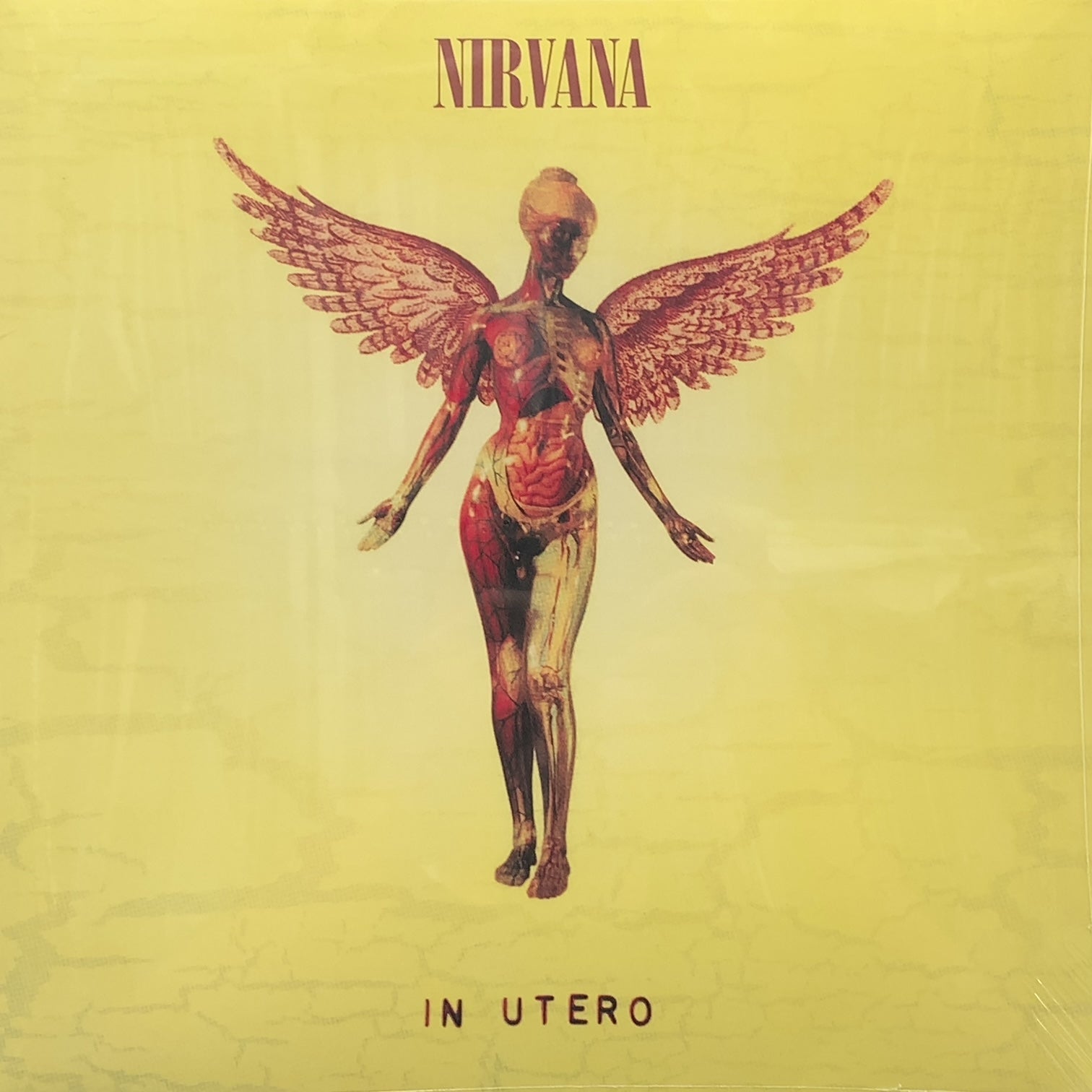 NIRVANA / In Utero (Geffen, 180g, LP) – TICRO MARKET