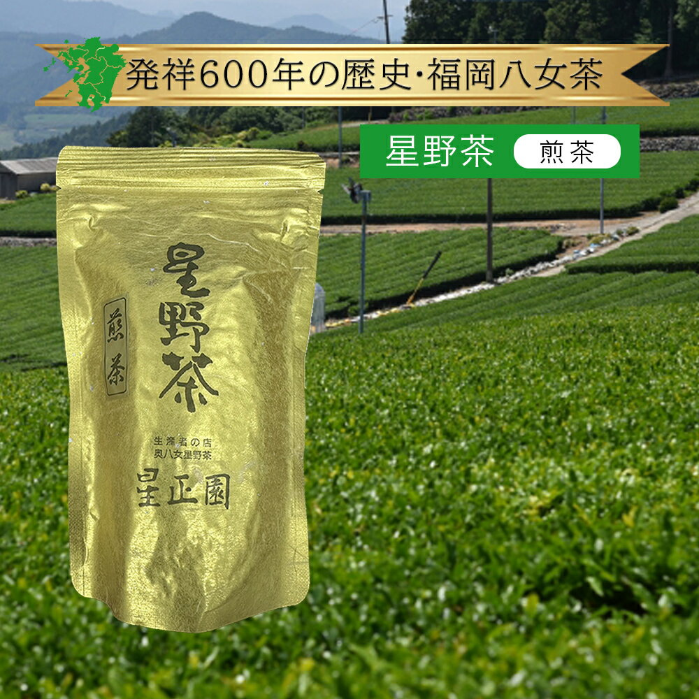 楽天市場】星野製茶園 抹茶 八女の華 100g缶の通販