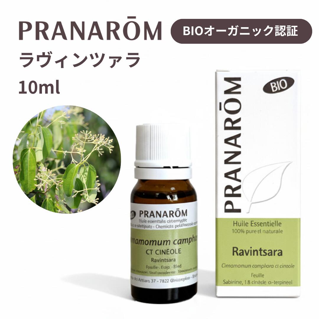 楽天市場】プラナロム ラヴィン ツァラの通販