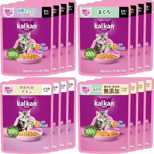 楽天市場】kalkan 16袋の通販