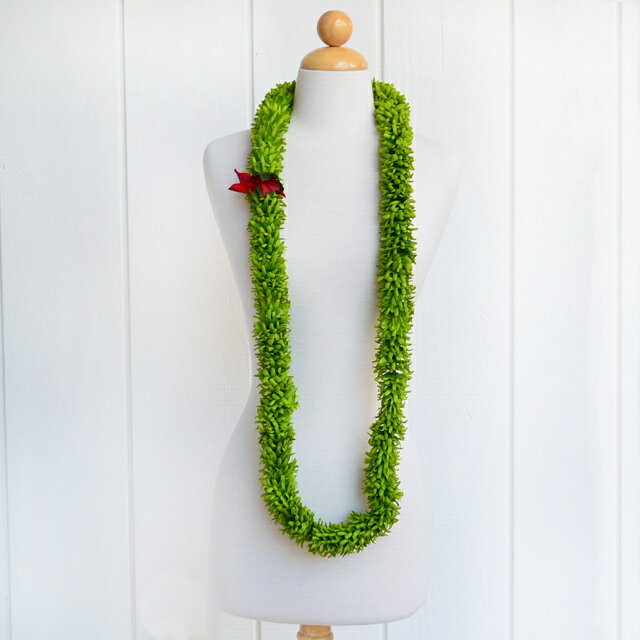 楽天市場】グリーンローズ レイの通販