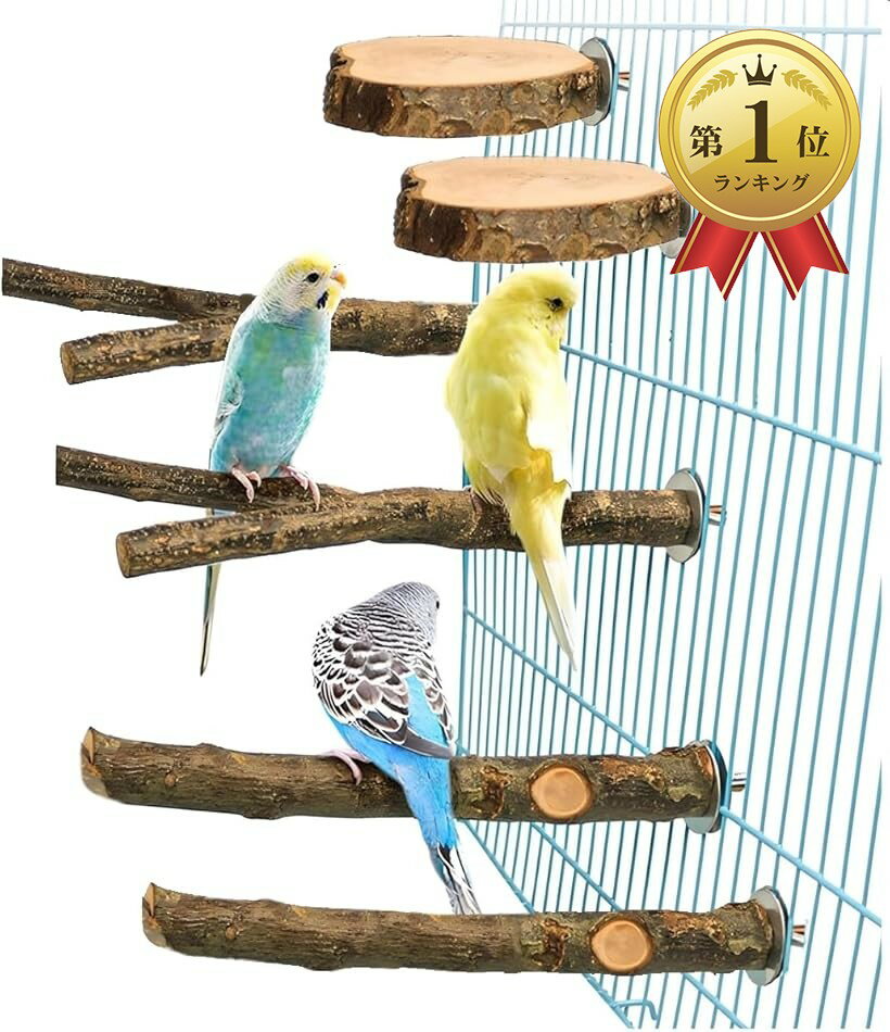 楽天市場】鳥 止まり木の通販