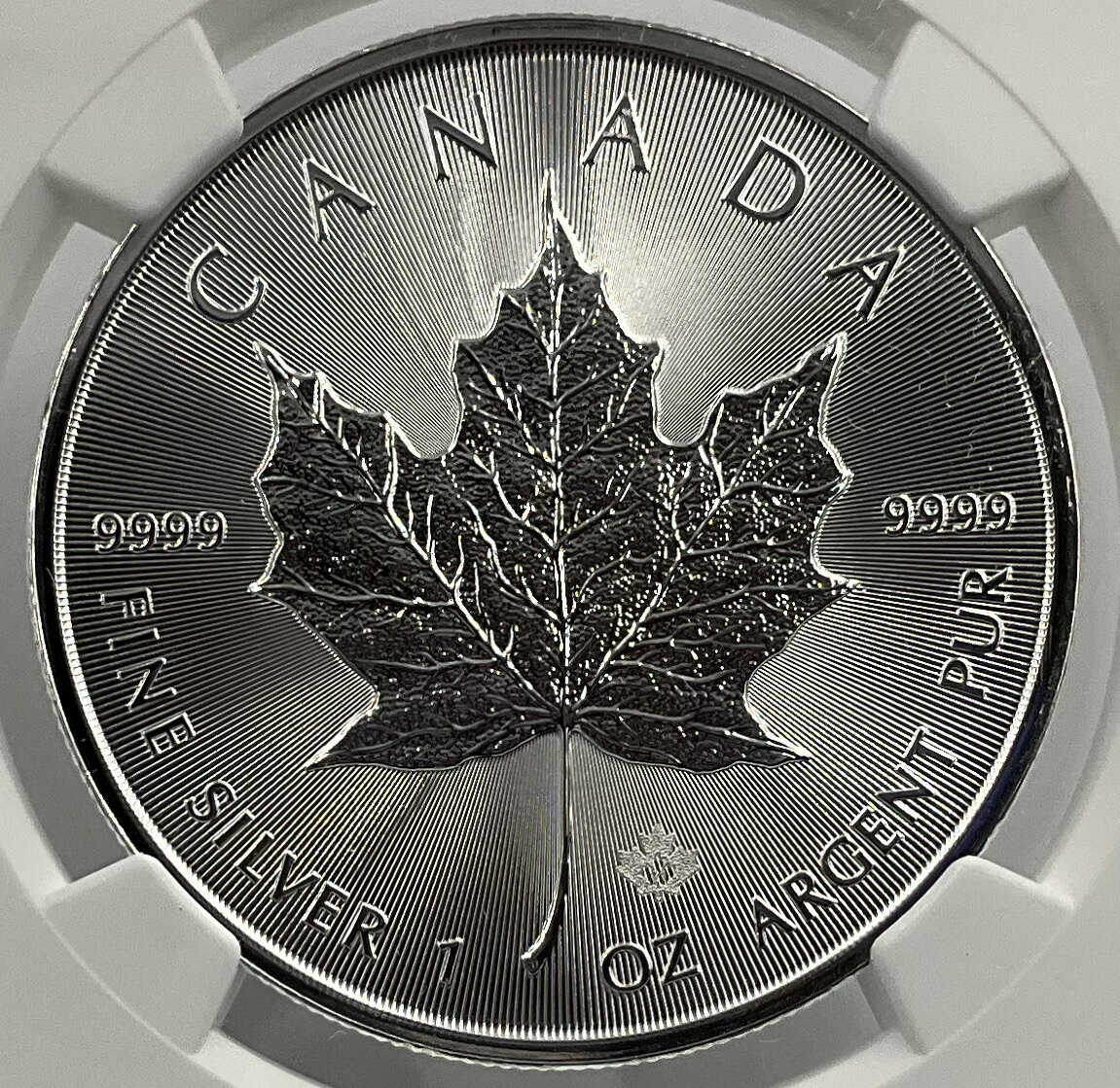 楽天市場】カナダ メイプルリーフ 5ドル銀貨の通販