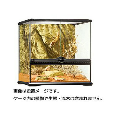 楽天市場】グラステラリウム6045 エキゾテラの通販