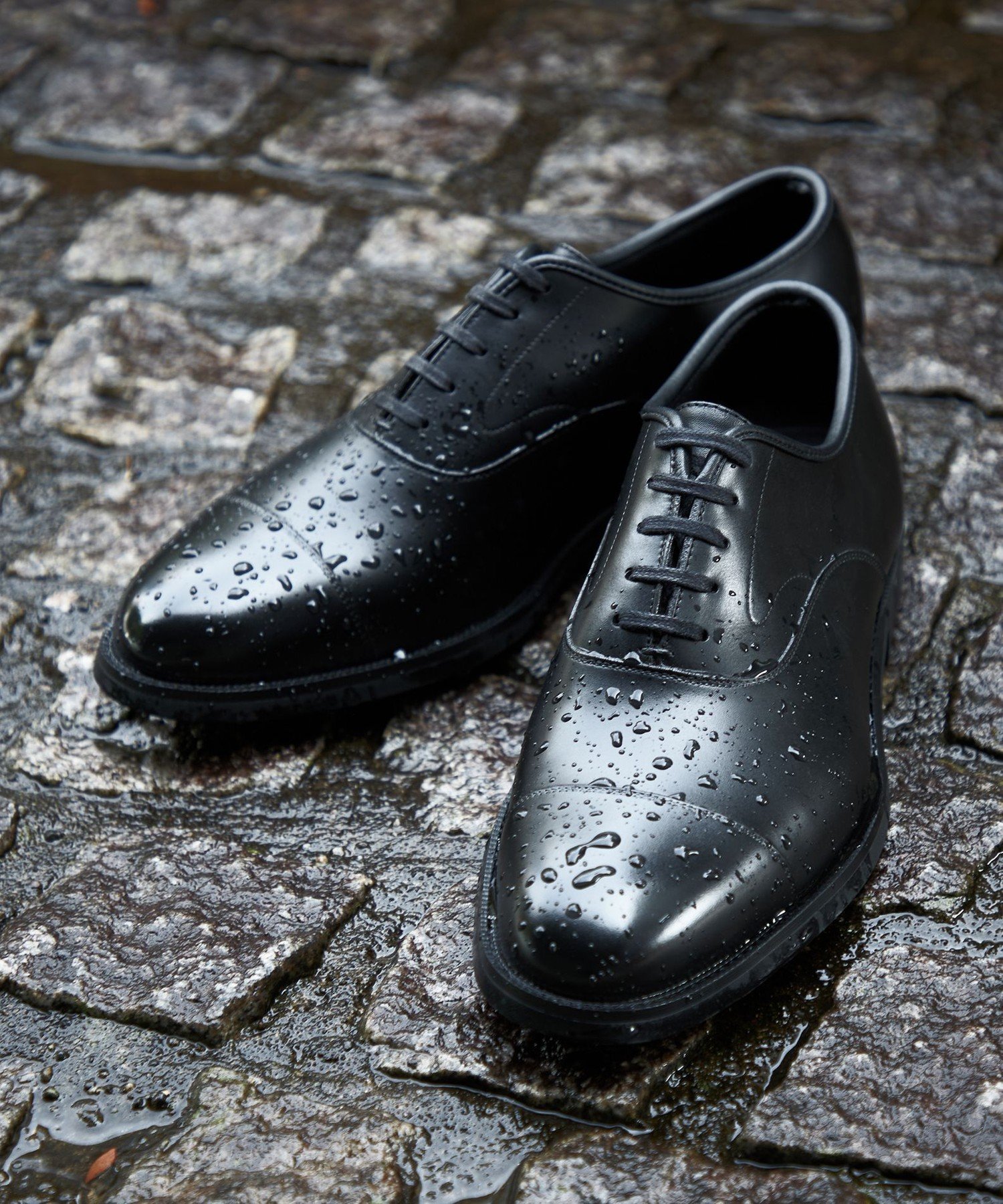 楽天市場】三陽山長 友二郎の通販