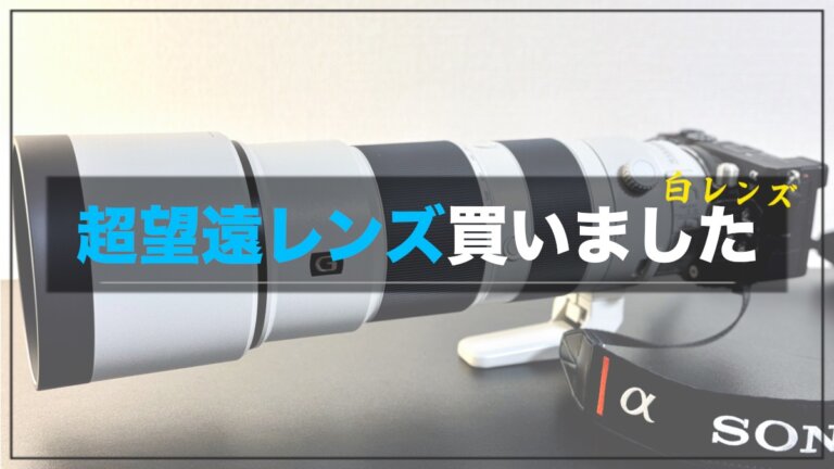 SONY(ソニー)の超望遠白レンズ 200-600mmを購入 作例と共に値引き交渉