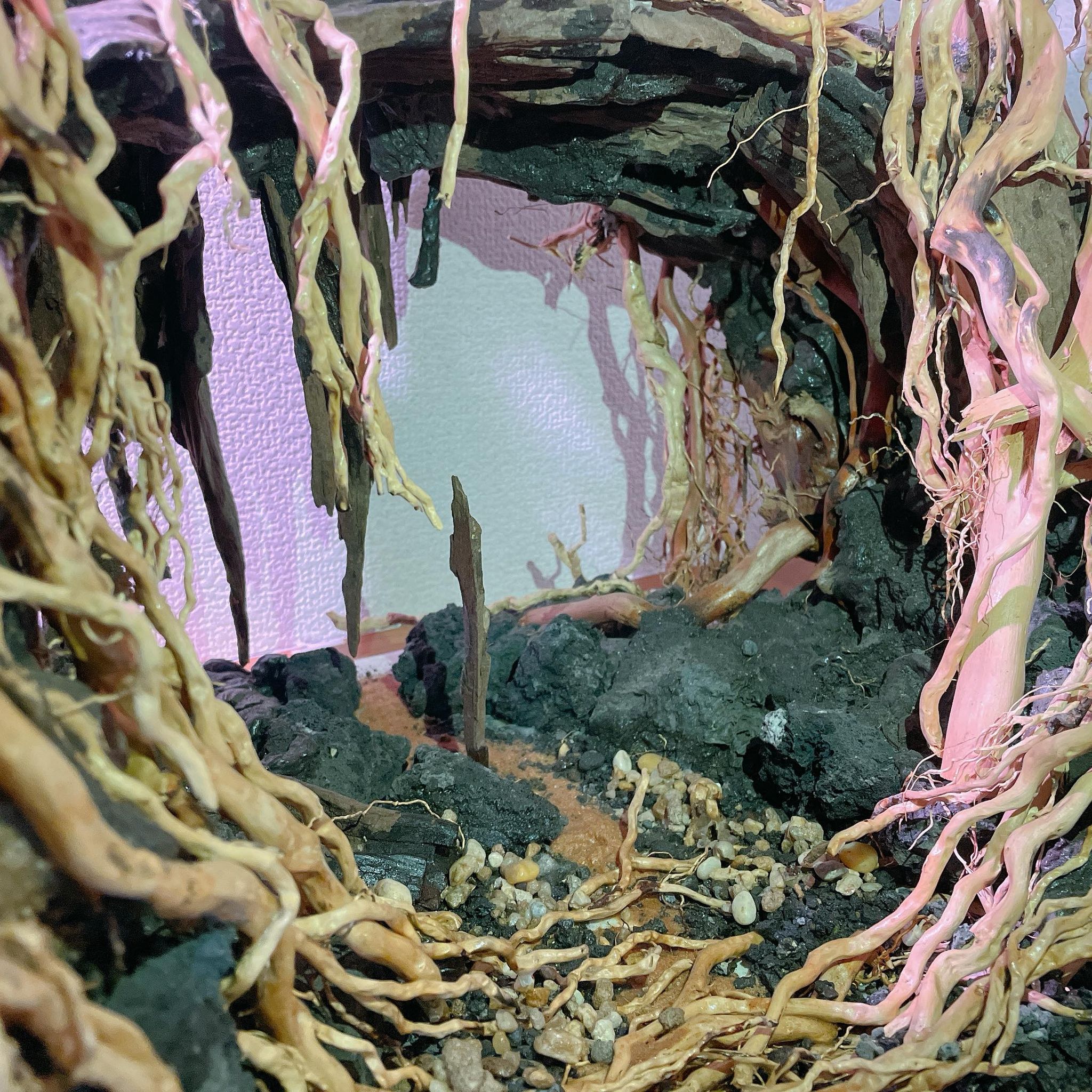 楽天市場】中型空洞型熱帯雨林のバニヤン流木 (水槽専用アート