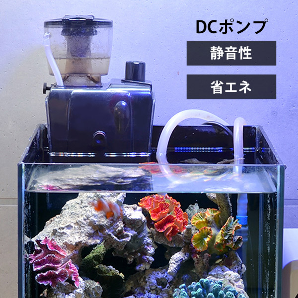 楽天市場】ゼンスイ 外掛式 プロテインスキマー QQ3 (水量300Lまで/DC