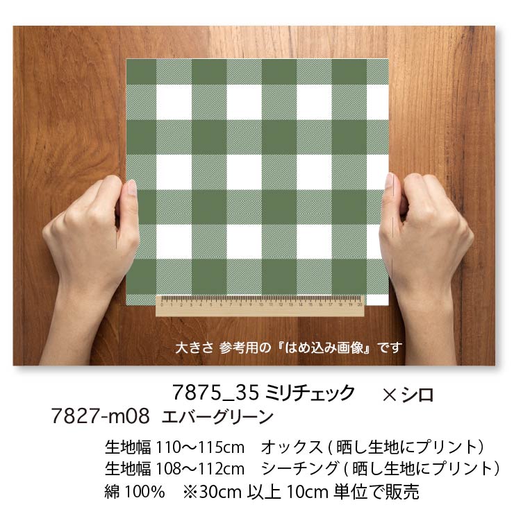 楽天市場】エバーグリーン 35ミリブロックチェック 7875-m08 大きな