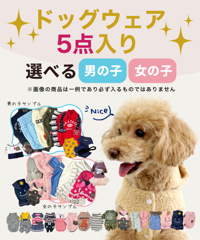 楽天市場】2026わんわん福袋 5点入り ドッグウエア ラッキーバッグ