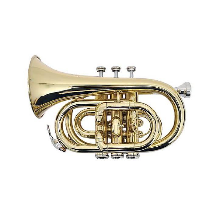 楽天市場】PLAYTECH ( プレイテック ) / PTPT-200 ポケット