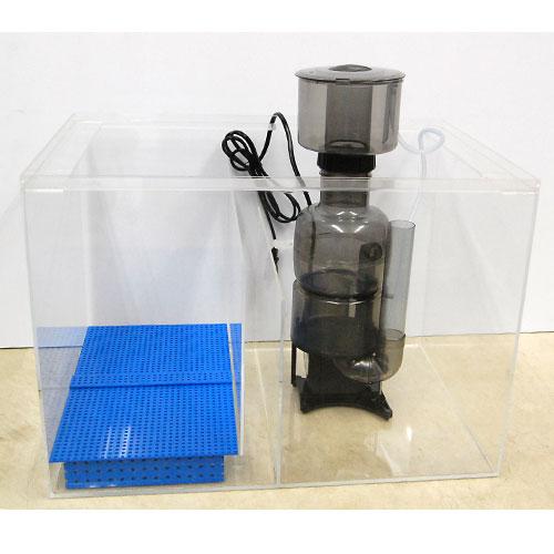 楽天市場】カミハタ 海道達磨 プロテインスキマー : アクアアベニュー