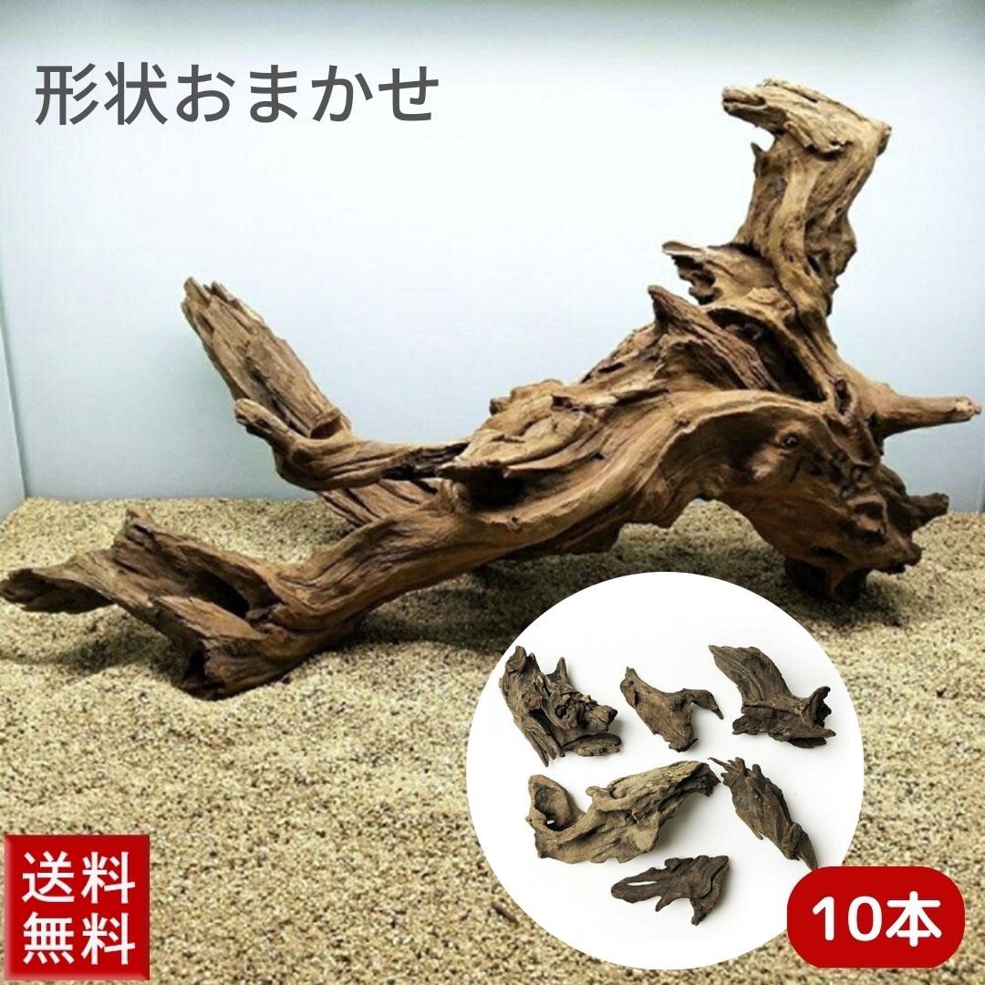 楽天市場】福袋 アクアリウム 流木 水槽 Ver2 10本セット 形状お任せ