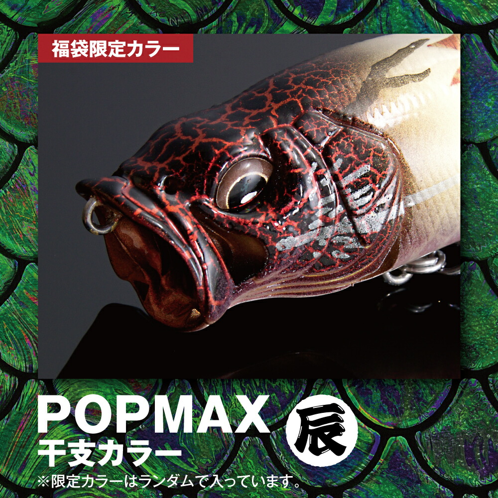 楽天市場】2024メガバス福袋 BASS SET [5] : 釣具のアングル 楽天市場店