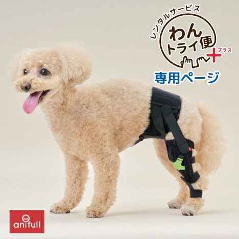 楽天市場】【anifull 公式】 【レンタルサービスわんトライ便+