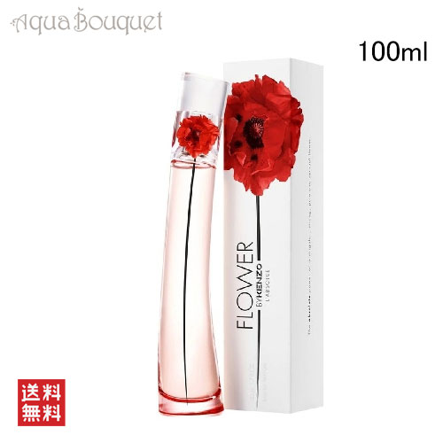 楽天市場】【先着限定☆最大1200円OFFクーポン（3/4 20:00