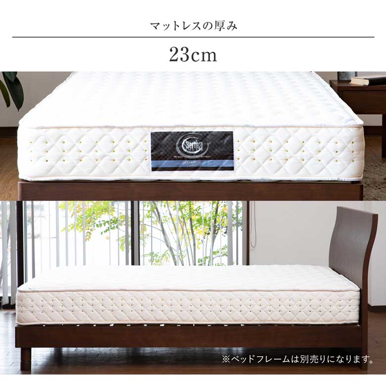 楽天市場】【3/1は最大20％OFFクーポン】【正規販売店】 サータ