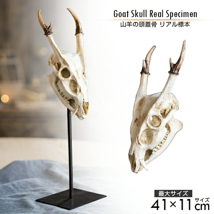 楽天市場】山羊 オブジェの通販