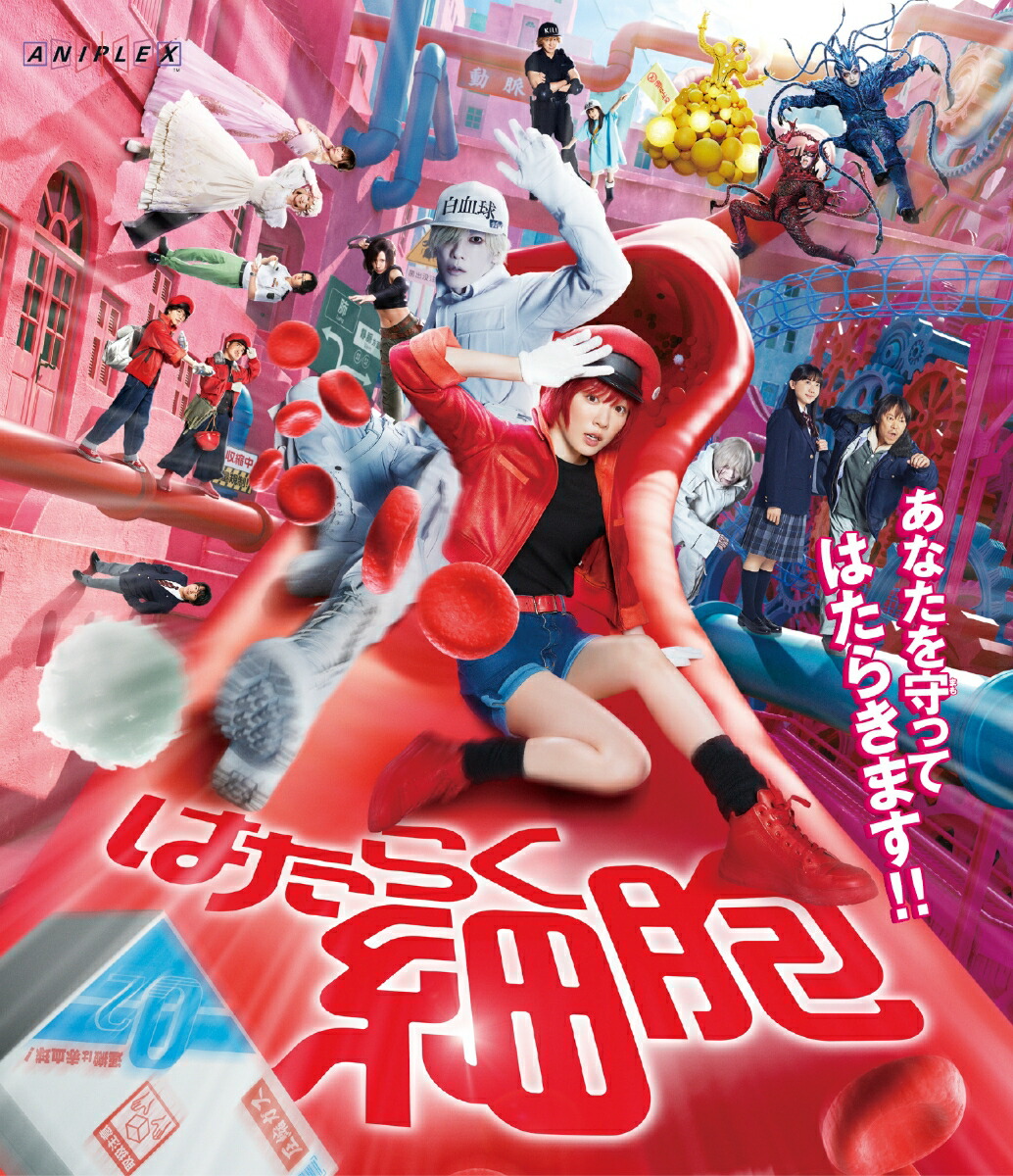 楽天ブックス: 映画『アンダーニンジャ』豪華版【Blu-ray】 - 山崎賢人