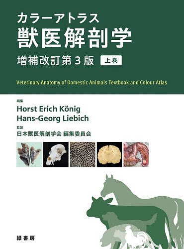 楽天市場】カラーアトラス X線解剖学とセファロ分析法の通販