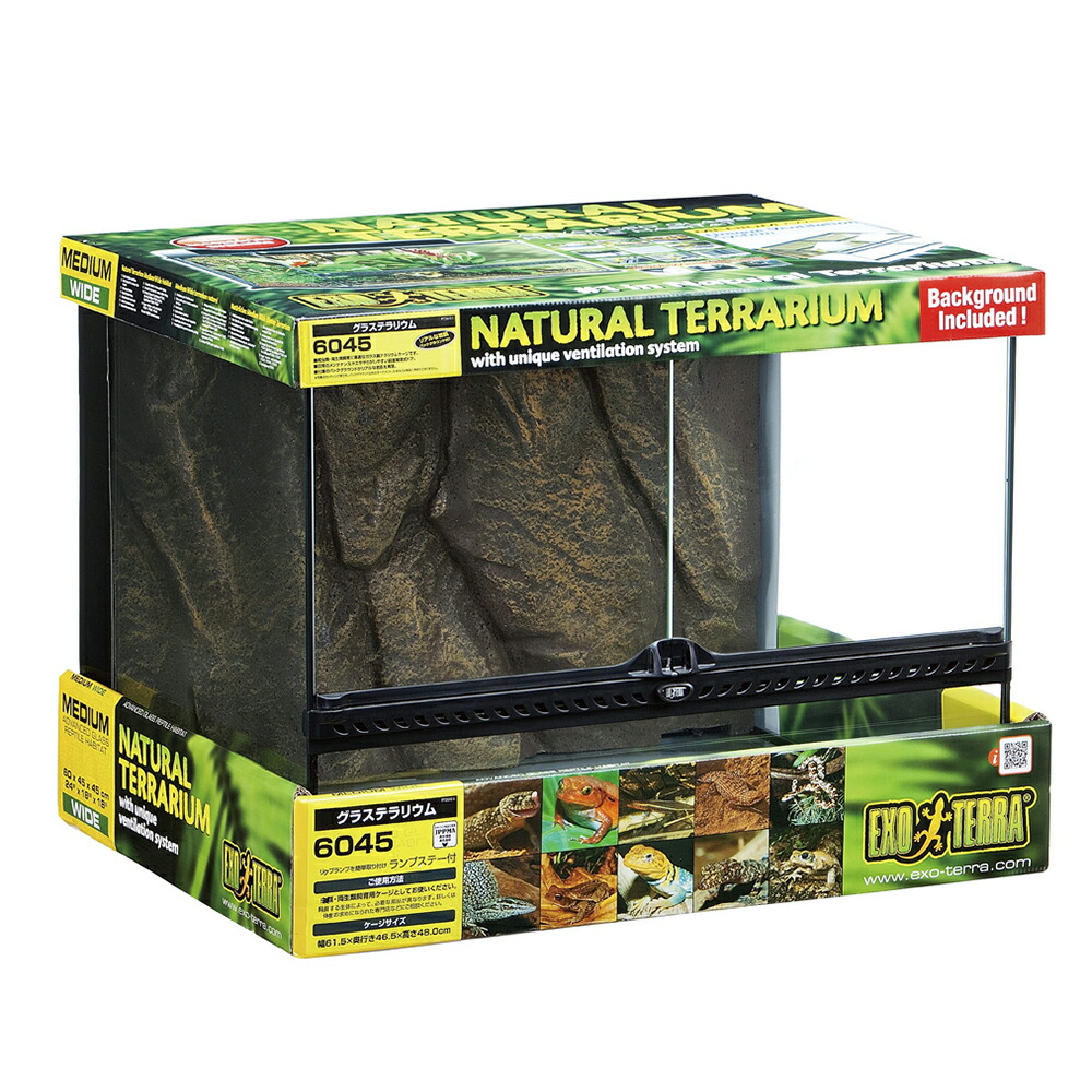 楽天市場】グラステラリウム 9045の通販