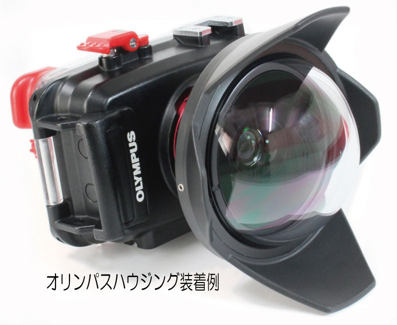 楽天市場】Fisheye（フィッシュアイ） FIX フィッシュアイコン